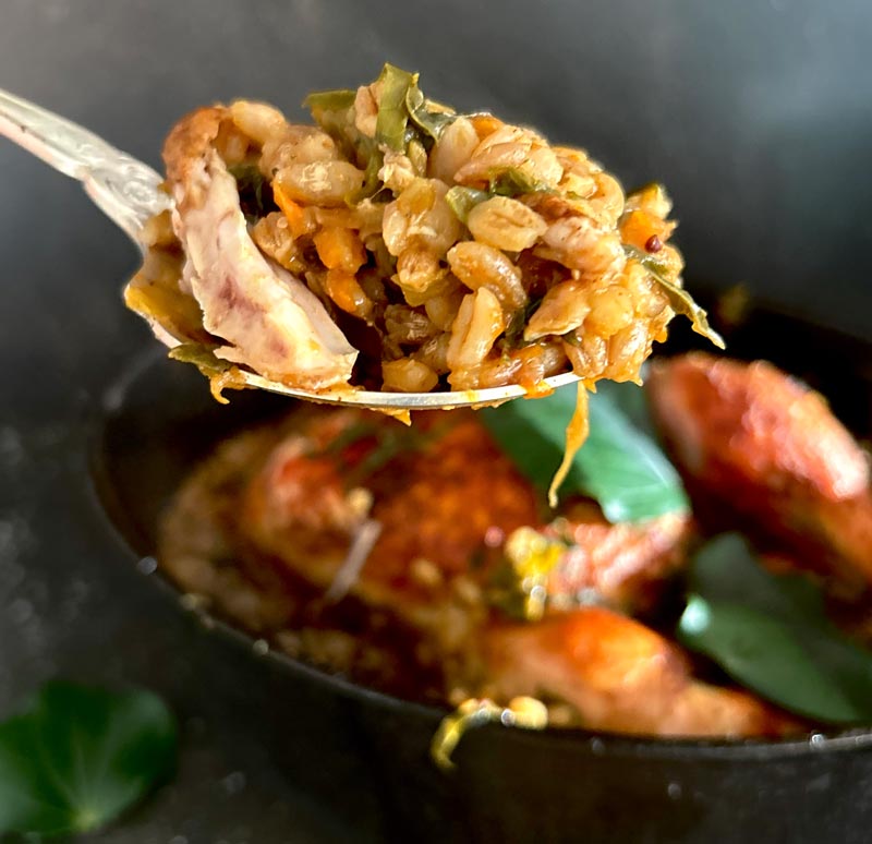 Kawakawa Heihei Me Te Barley